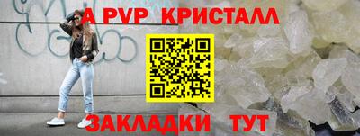 гашик Дубна