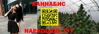 стаф Донецк
