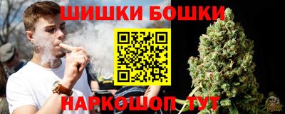 гашик Дубна