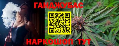 гашик Дубна