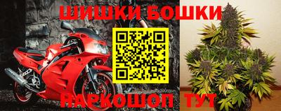 ГАЛЛЮЦИНОГЕННЫЕ ГРИБЫ Донской