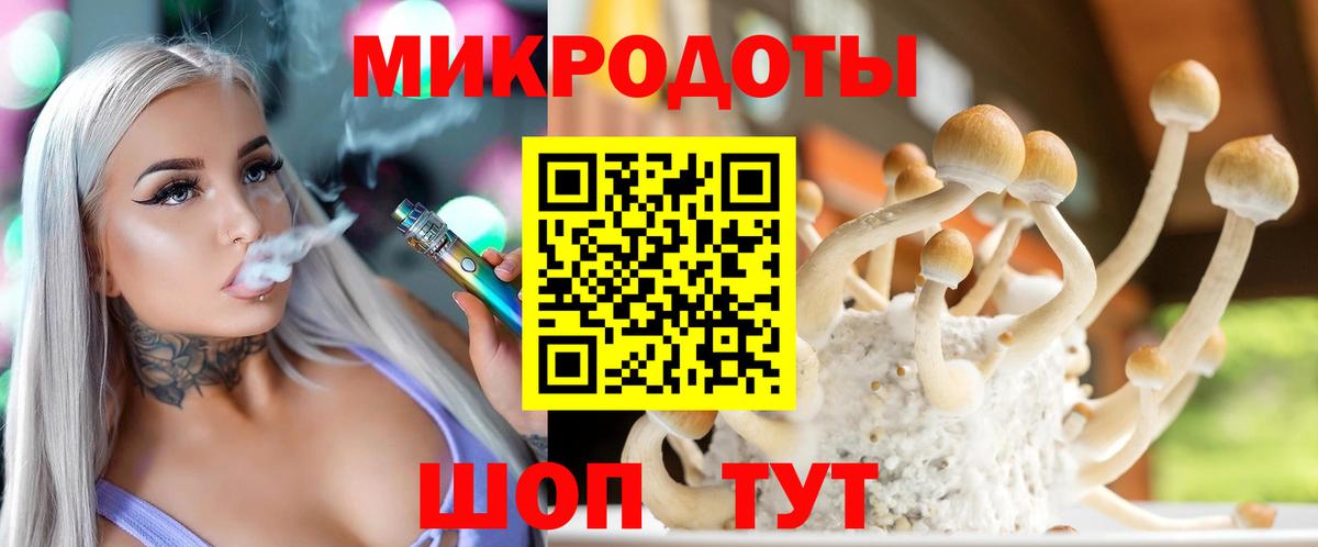 Псилоцибиновые грибы GOLDEN TEACHER  Галлюциногенные грибы Magic Shrooms  где продают   Дербент 