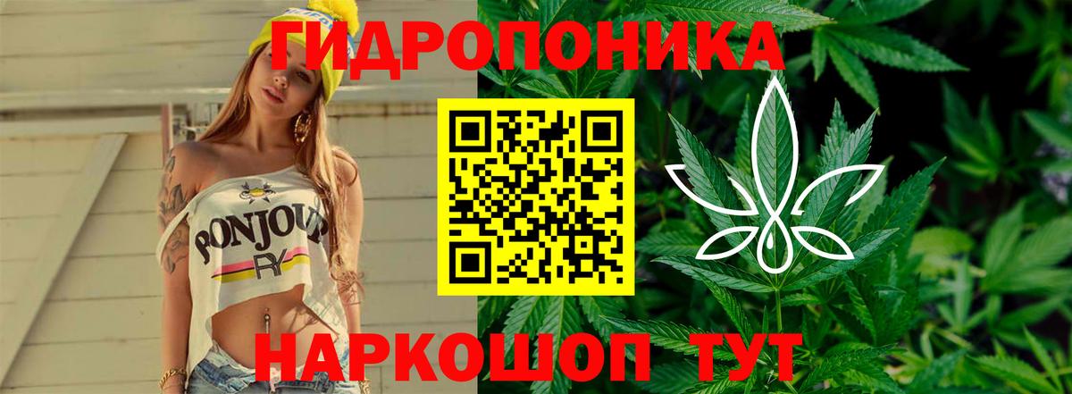 МАРИХУАНА THC 21%  Канабис SATIVA & INDICA  Каннабис индика  Дербент  Бошки Шишки ГИДРОПОН 